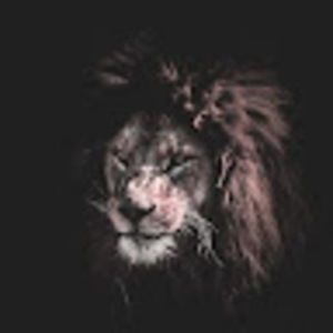 Meet your Posher, Quentinbutler